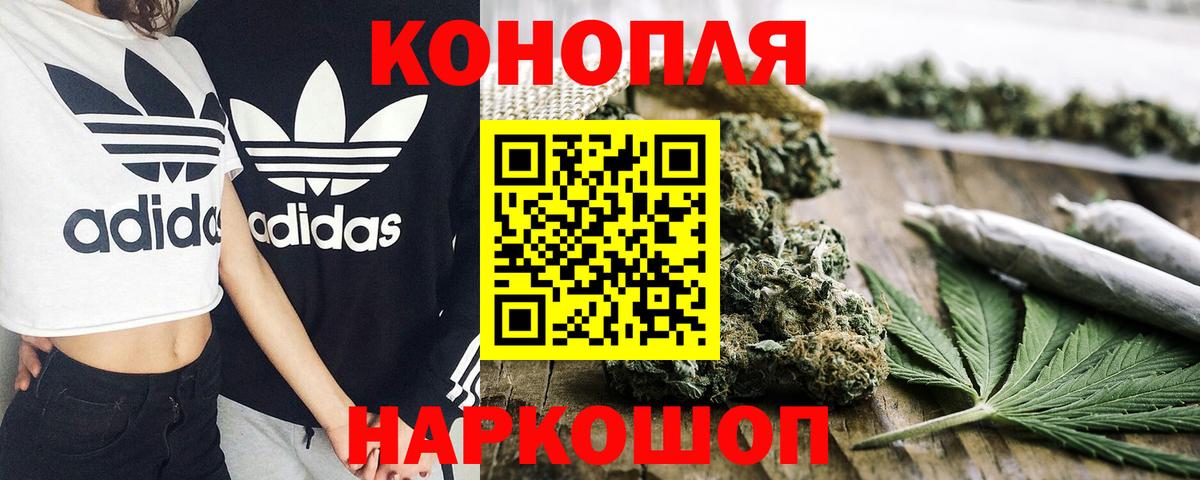 Бошки Шишки планчик Серов